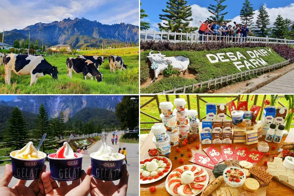 Desa Dairy Farm kundasang