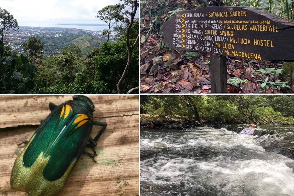 Hutan Simpan Bukit Gemok