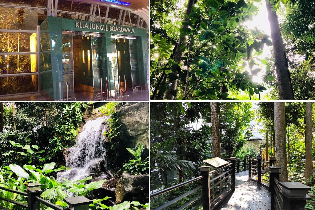 tempat menarik KLIA Jungle Broadwalk