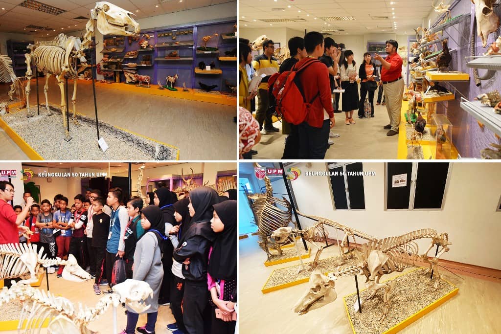 Muzium Anatomi di bangi