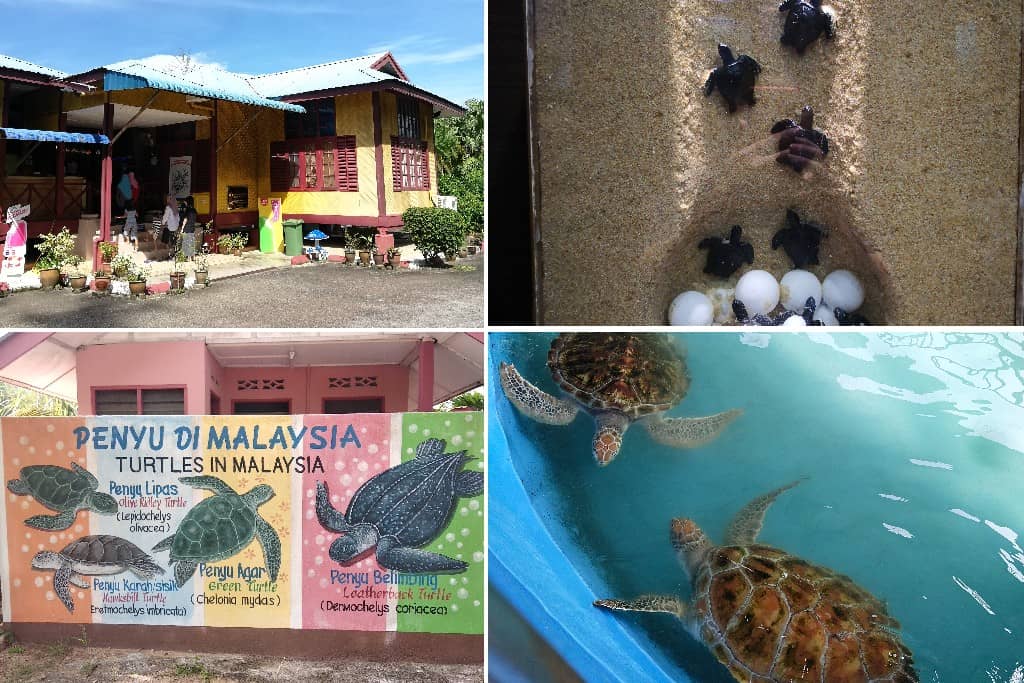 Pusat Penerangan dan Santuari Penyu Cherating