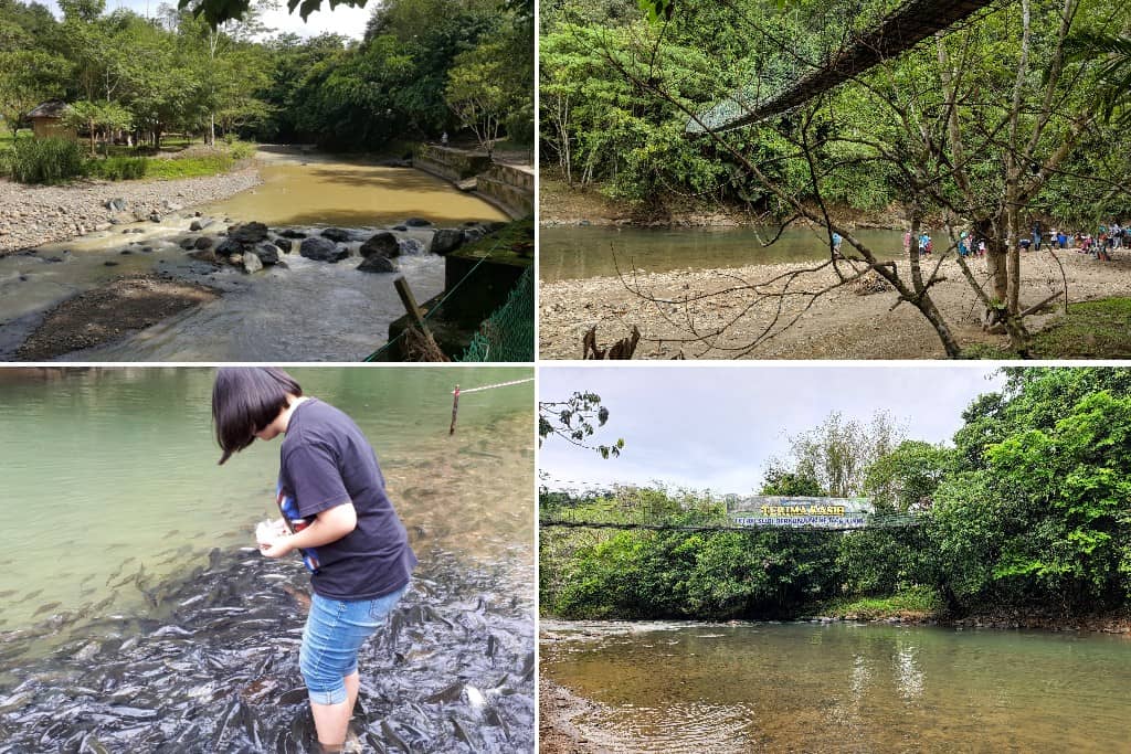 Spa Ikan Sungai Moroli