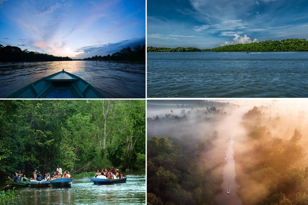 Sungai Kinabatangan River Cruise