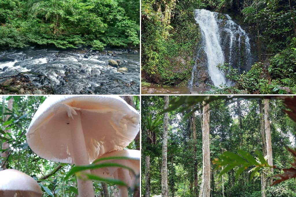 Taman Bukit Tawau