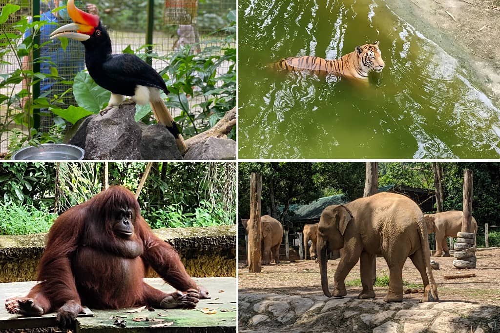 Taman Hidupan Liar Lok Kawi