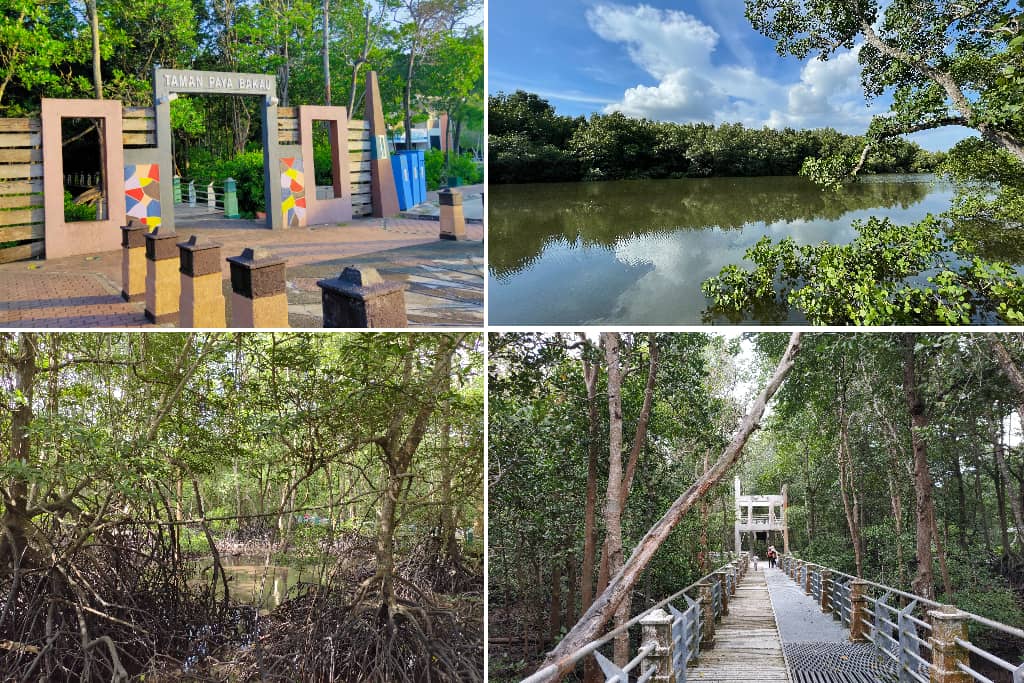 Taman Paya Bakau