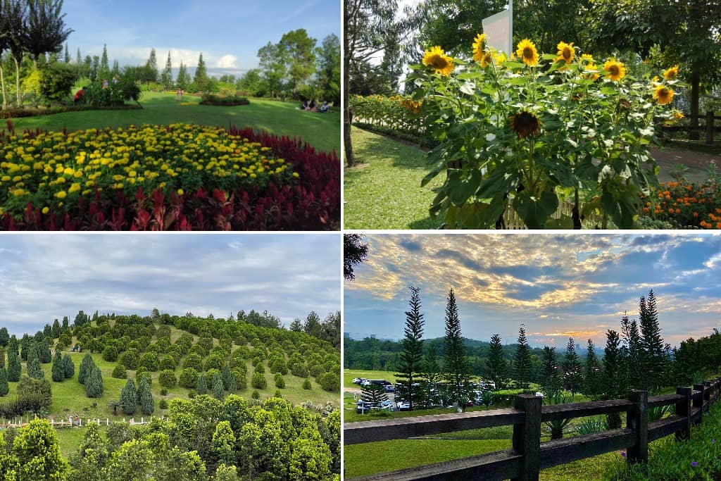 Taman Saujana Hijau