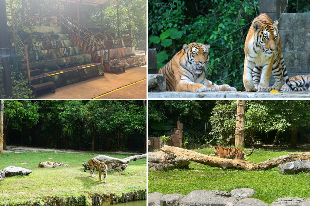 Tiger Valley