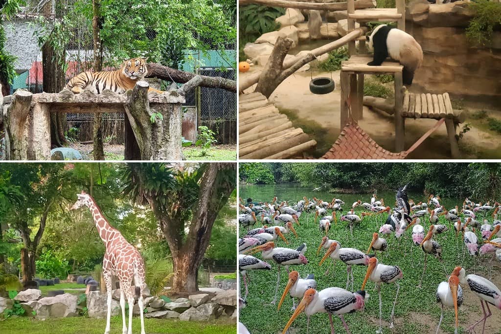 Zoo Negara