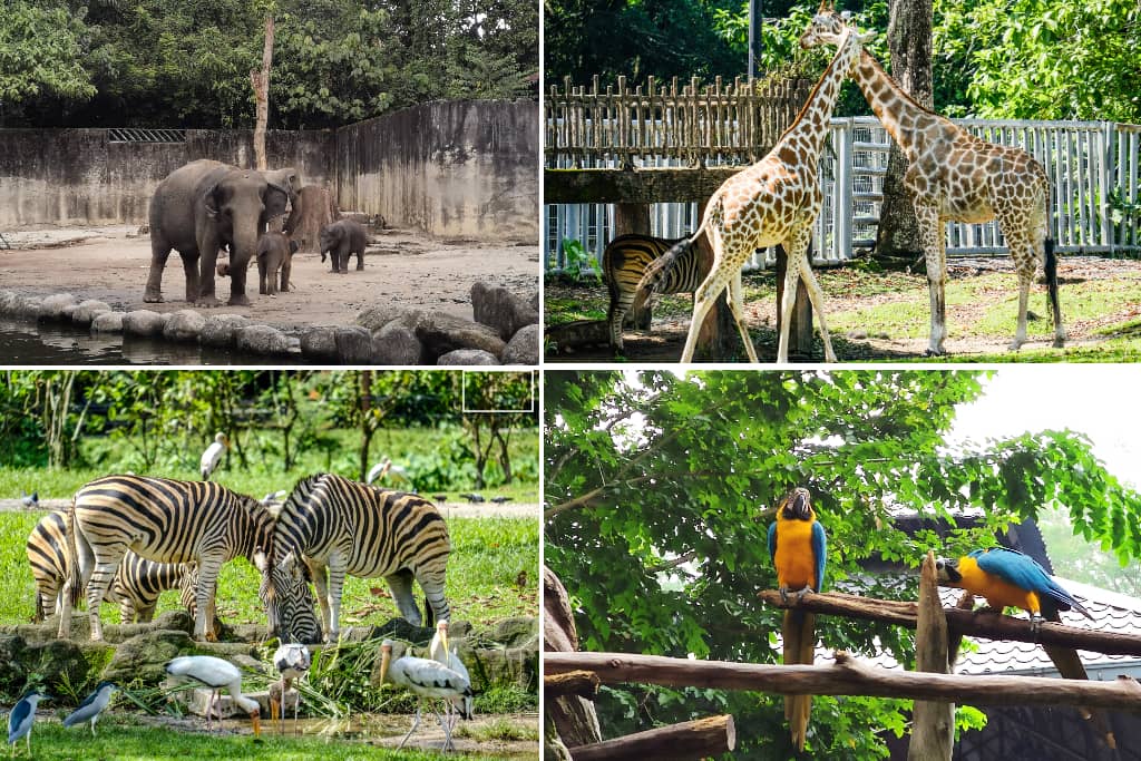 Zoo Taiping