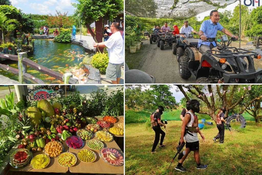 aktiviti menarik di desaru fruit farm