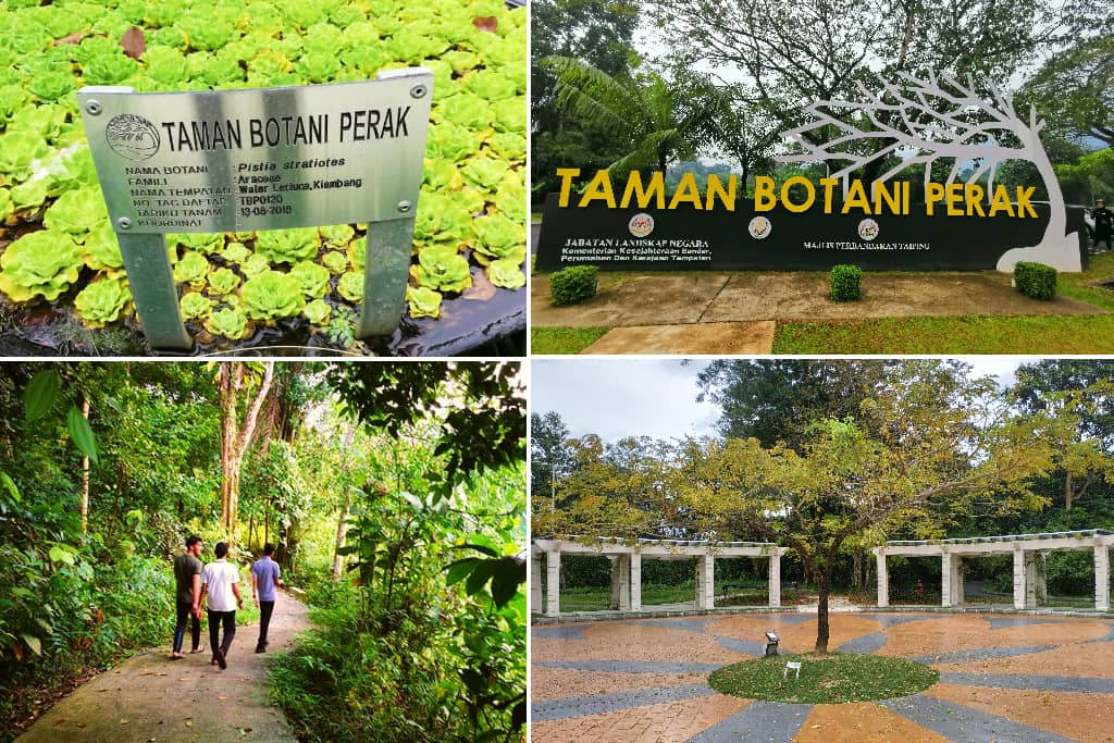 suasana di taman botani taiping