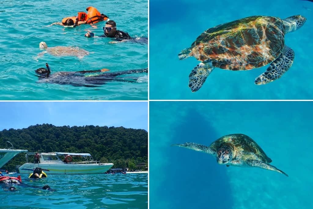 turtle point di pulau perhentian