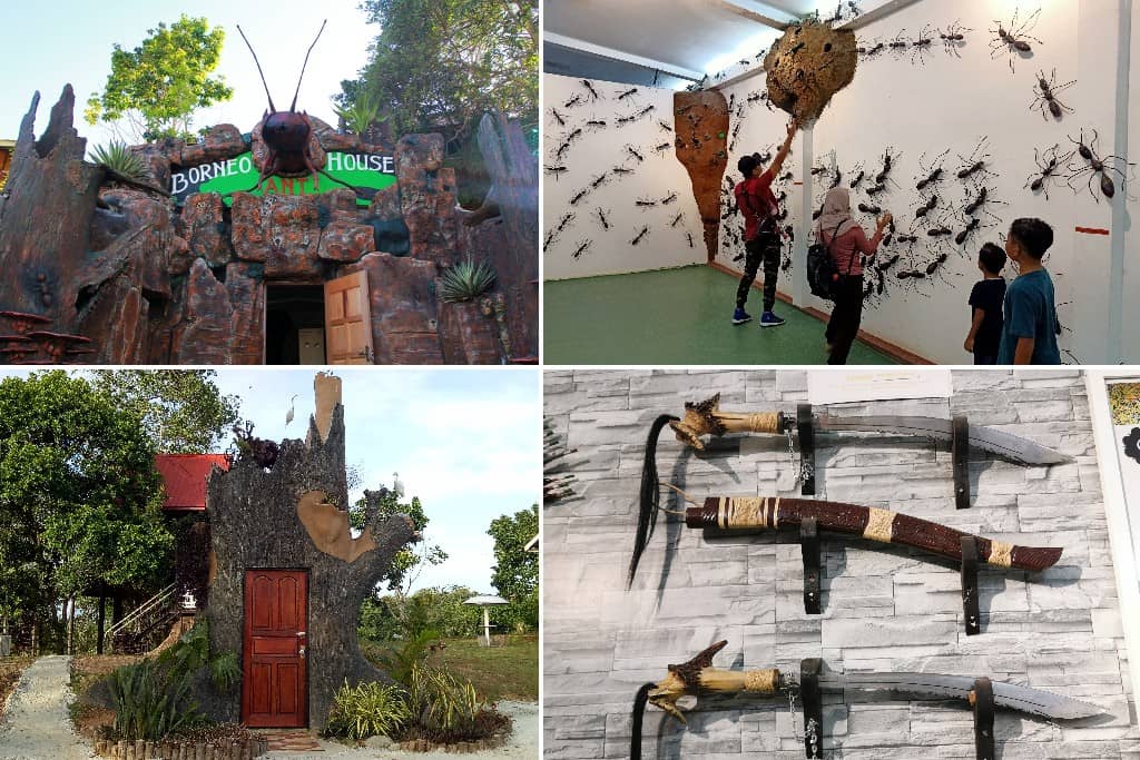 Tempat menarik Tuaran Sabah - Borneo Ant House