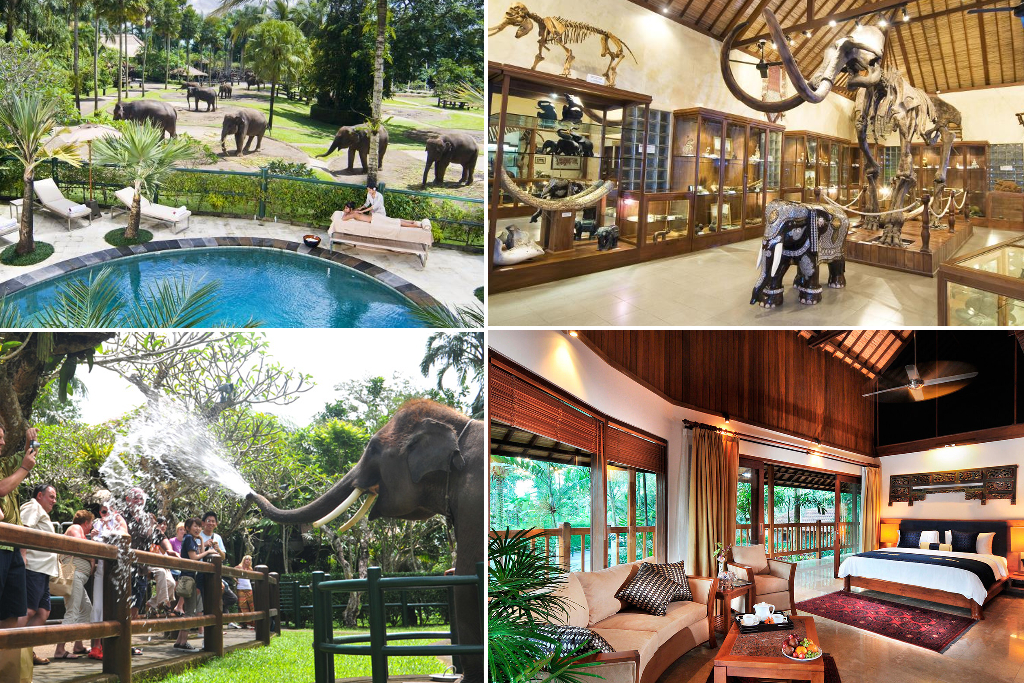 Elephant Safari Park Lodge Bali