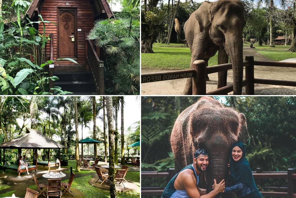 Elephant Safari Park Lodge