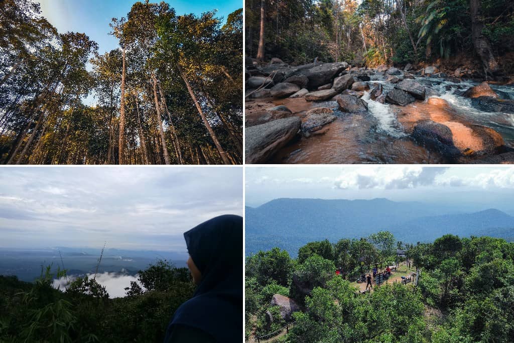 Gunung Belumut