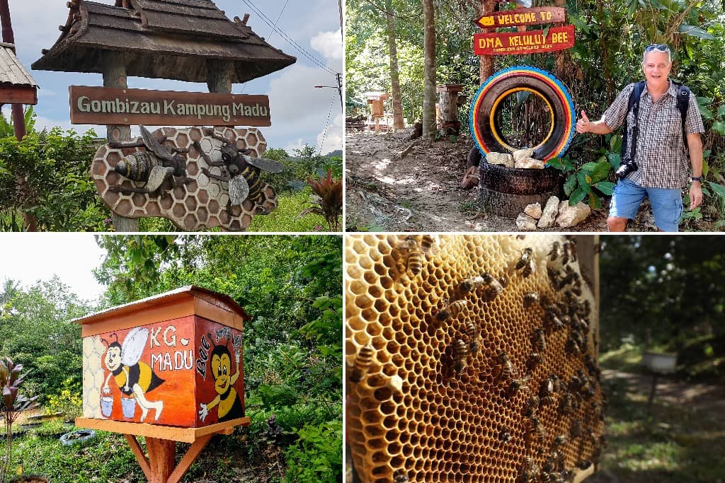 LADANG MADU LEBAH GOMBIZOU