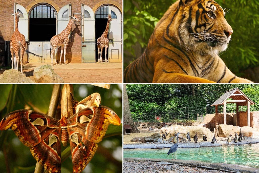 London Zoo