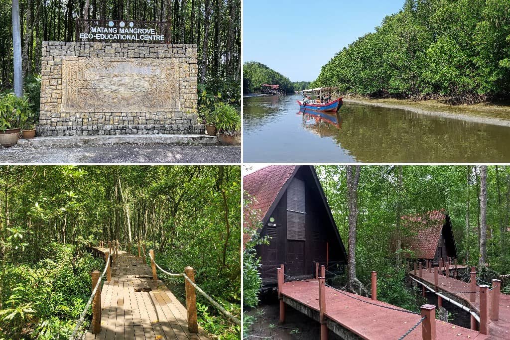 Matang Mangrove Forest Reserve