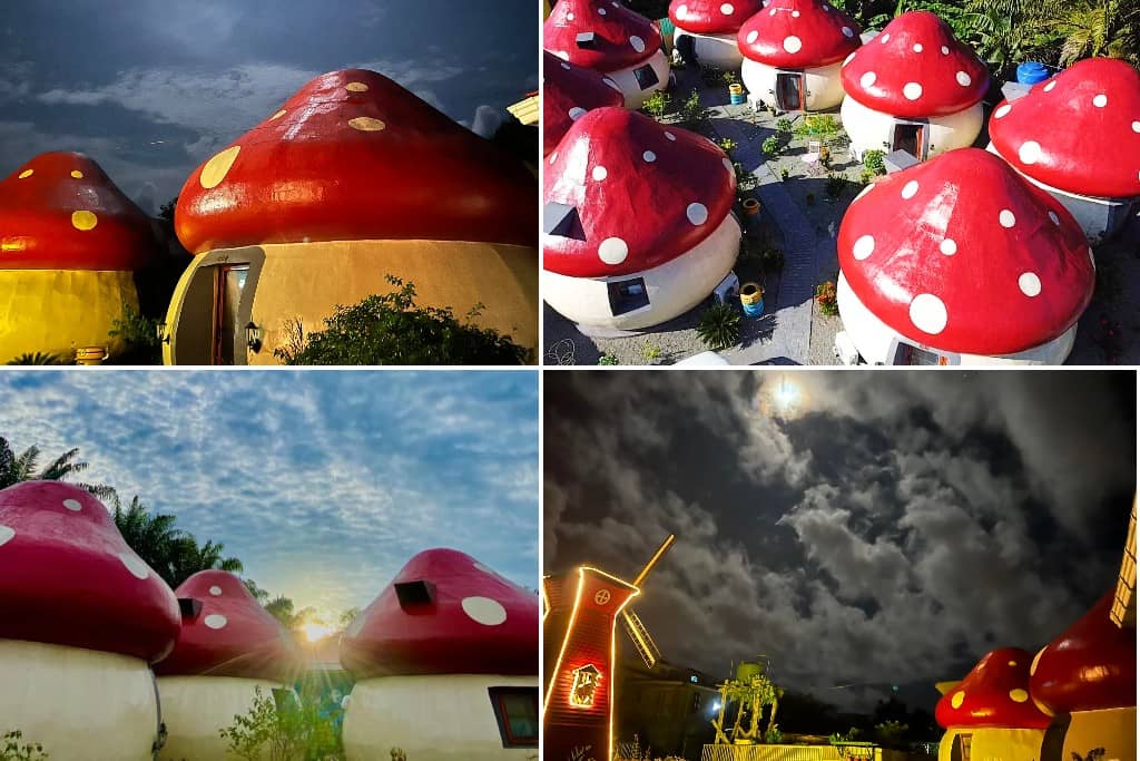 Mushrooms Inn
