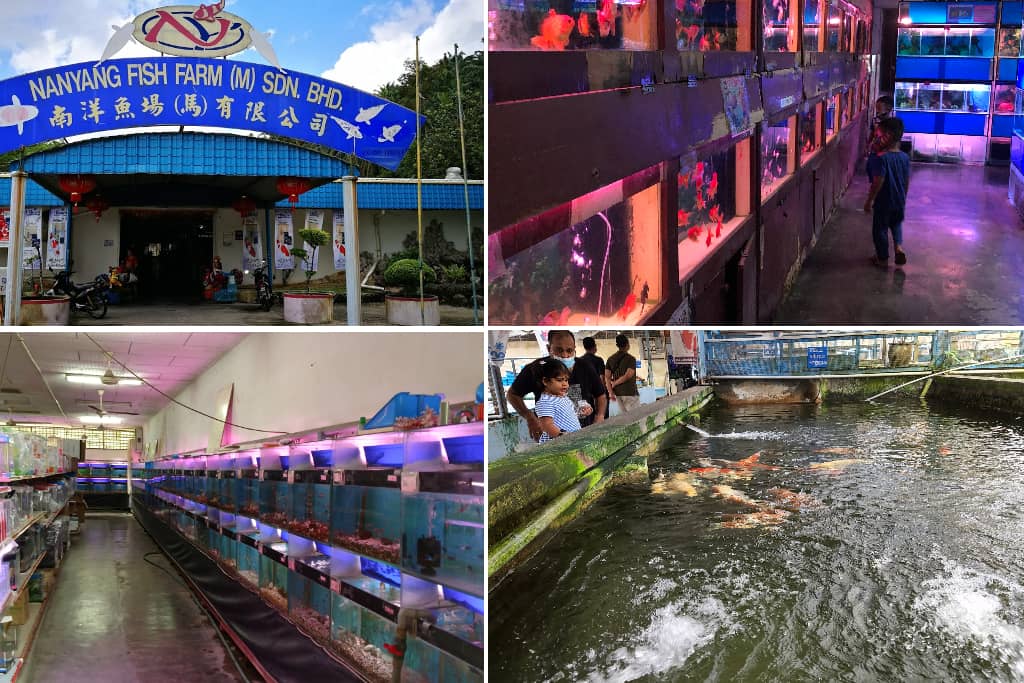aquarium di kulai