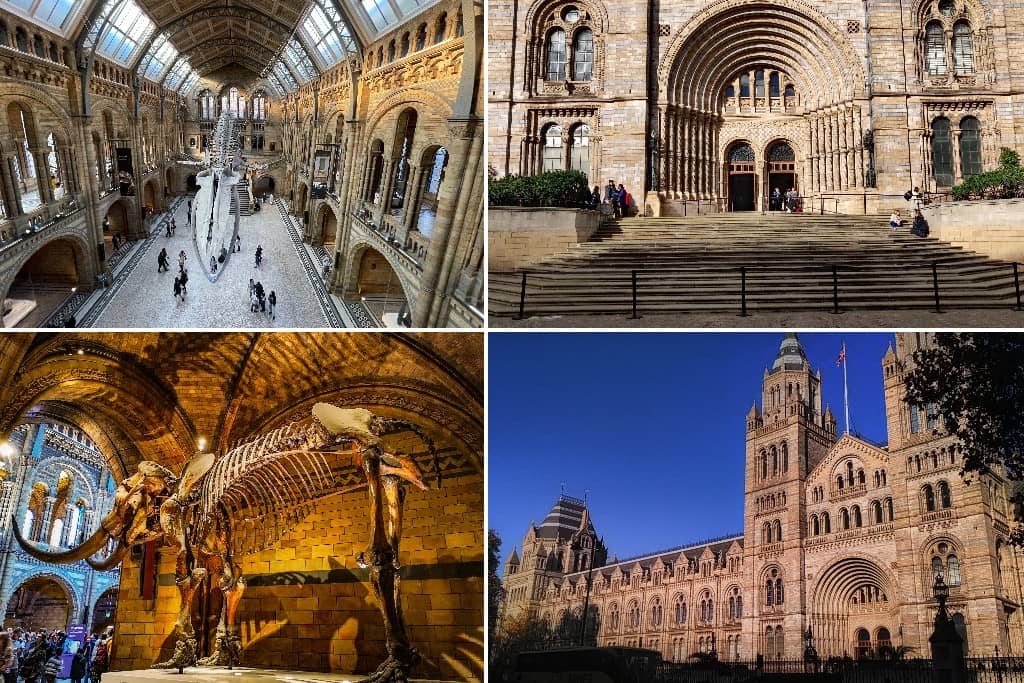 Natural History Museum