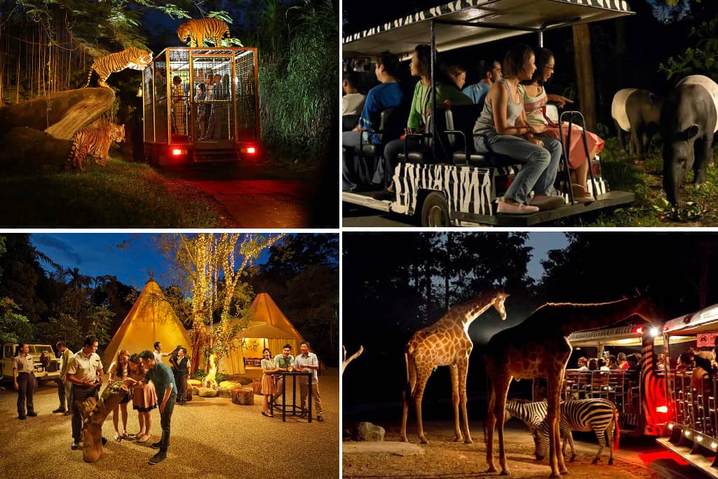 Night Safari di singapore