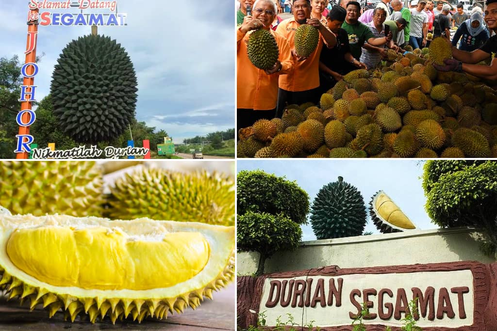 REPLIKA DURIAN