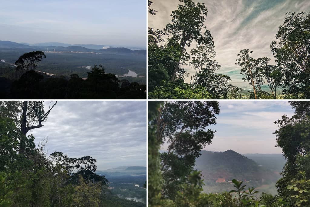 Rimba Bandar Bukit Bauk