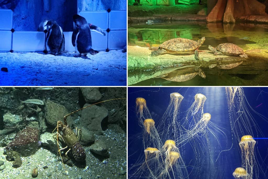 Sea Life London Aquarium
