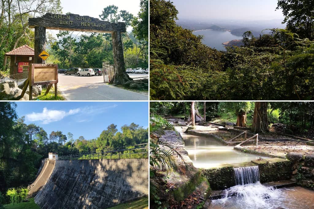 Taman Rimba Bukit Mertajam