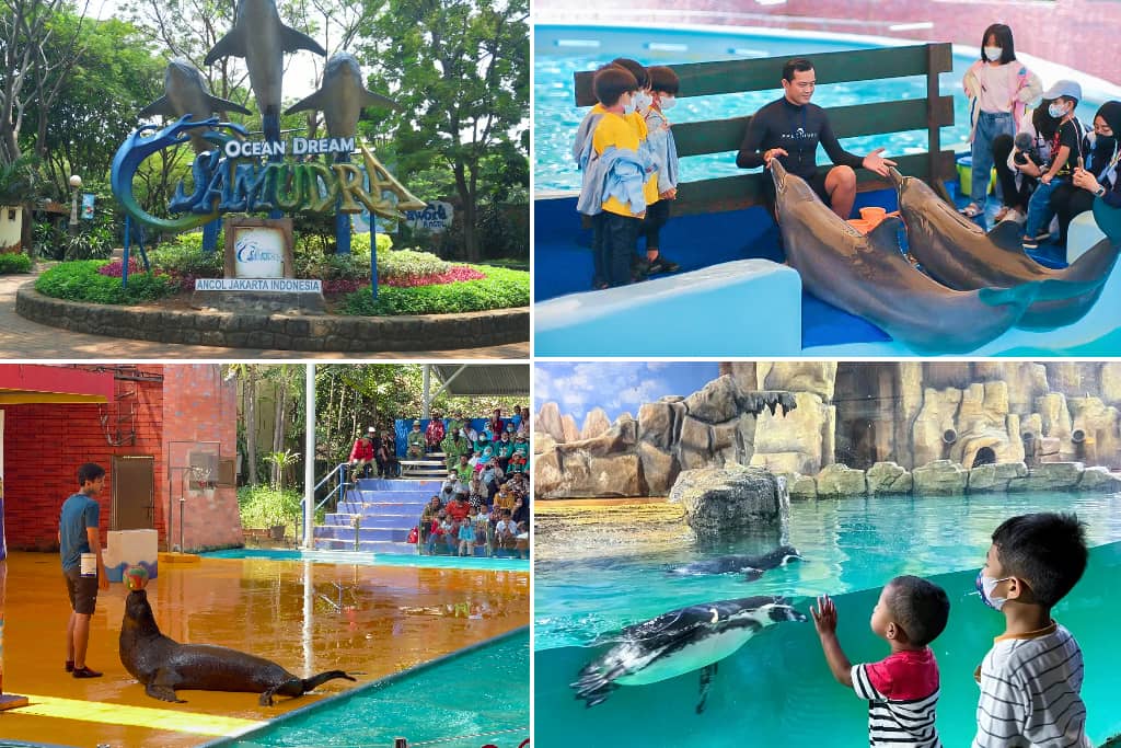 ocean dream samudera yang unik di indonesia