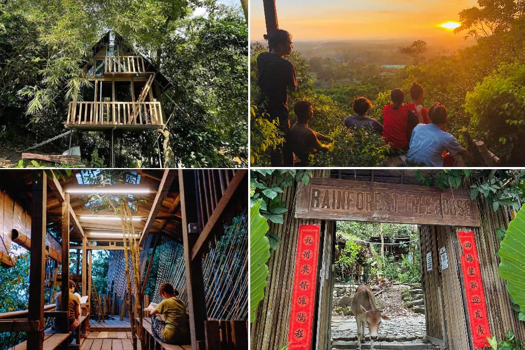 rainforest tree house di kulai