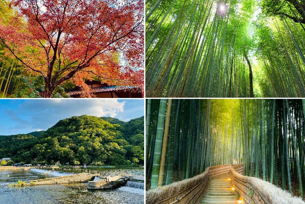 Bamboo Forest Street
