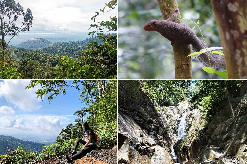 Gunung Pulai