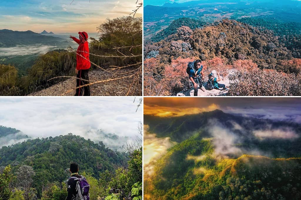 Gunung Pulut, Papulut