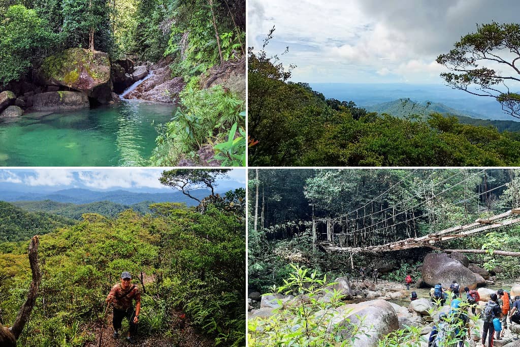 Gunung Sarut