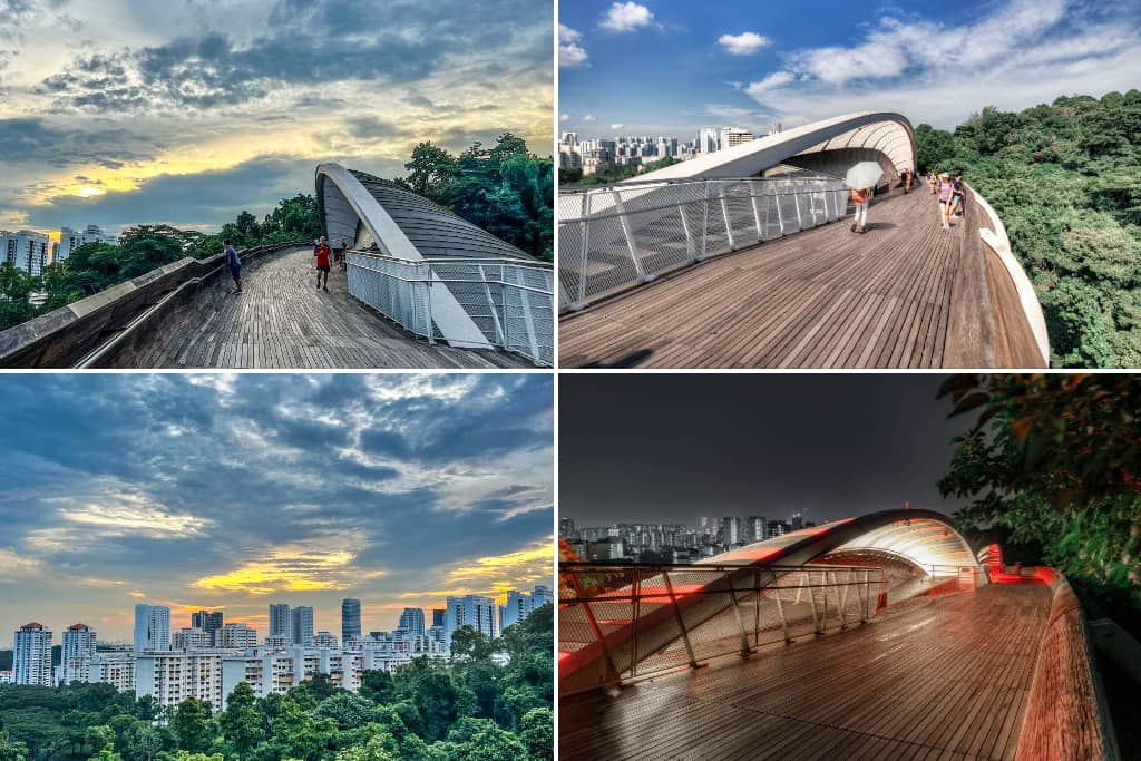 Henderson Wave Bridge di singapore (1)