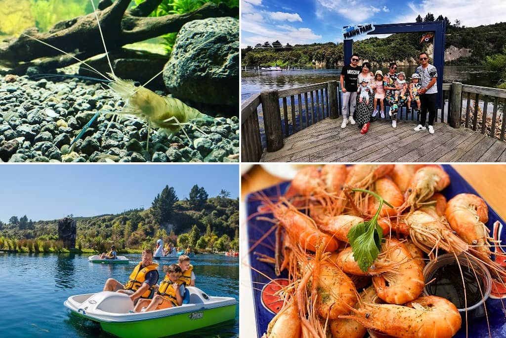 Huka Prawn Park