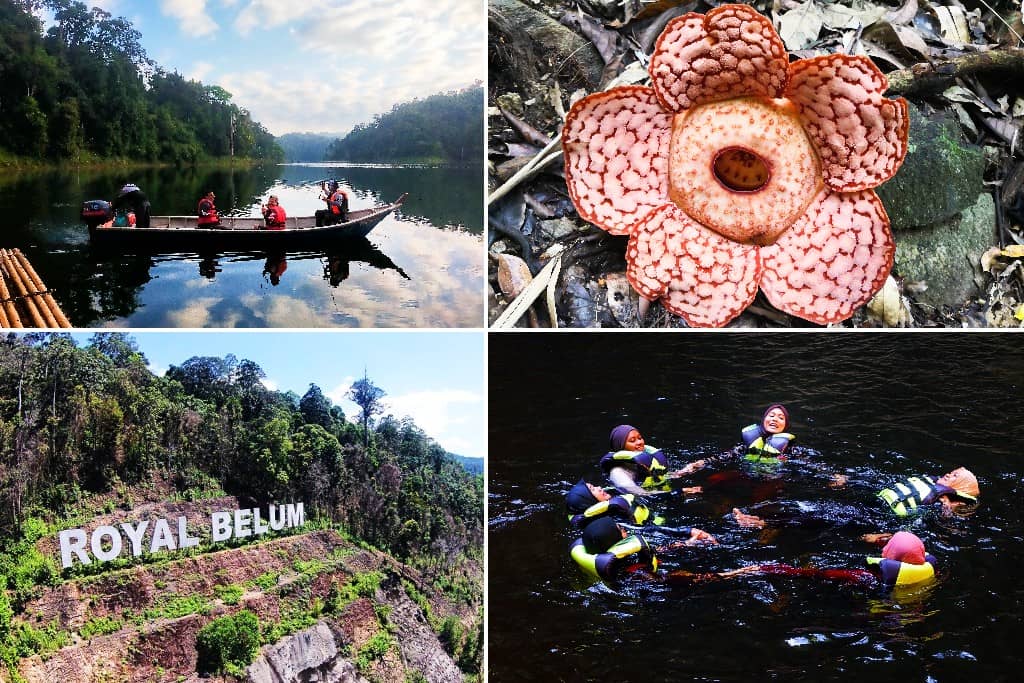 tempat menarik di gerik - Hutan Royal Belum