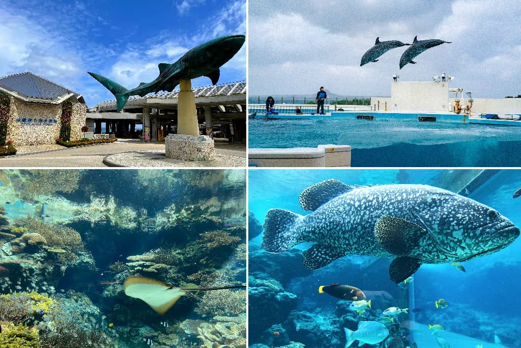 Okinawa Churaumi Aquarium