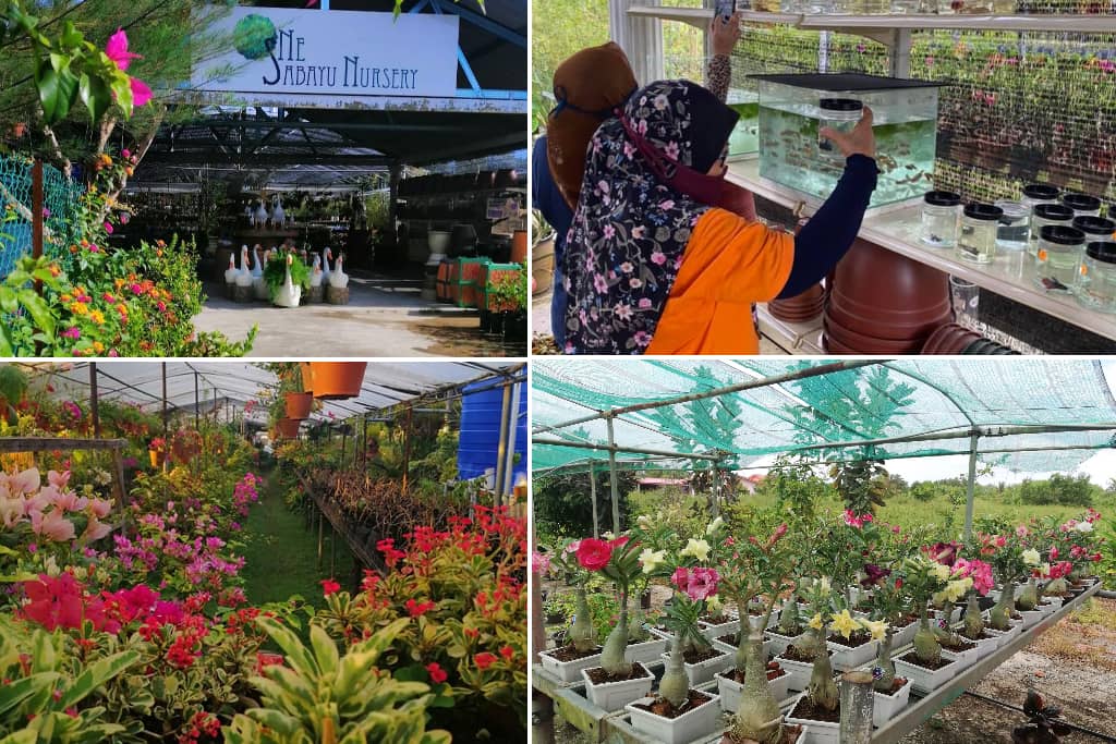 One Sabayu Nursery di papar