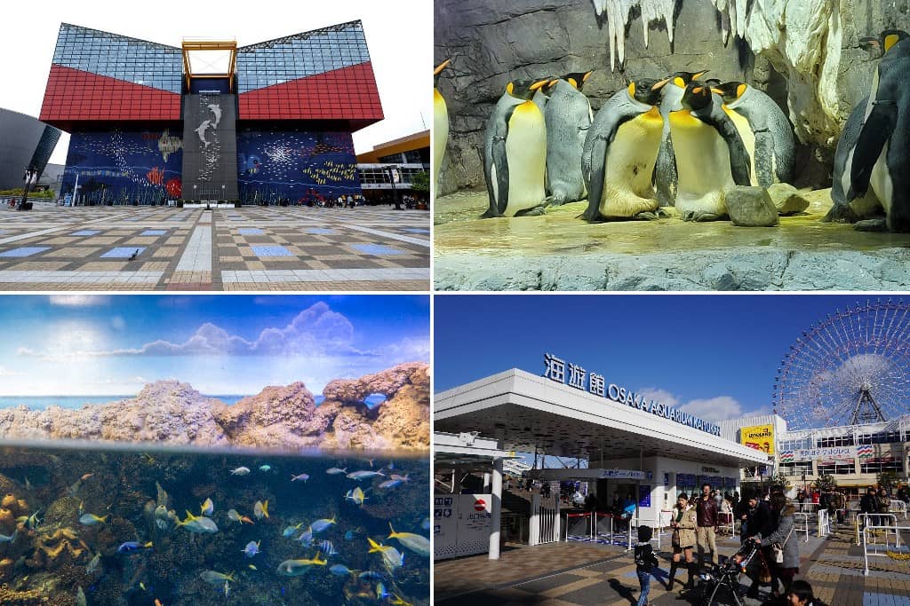 tempat menarik osaka jepun: Osaka Aquarium Kaiyukan