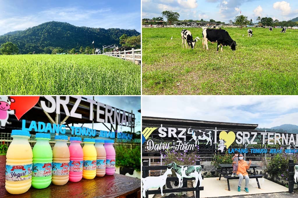tempat menarik pasir puteh: SRZ Ladang Ternak