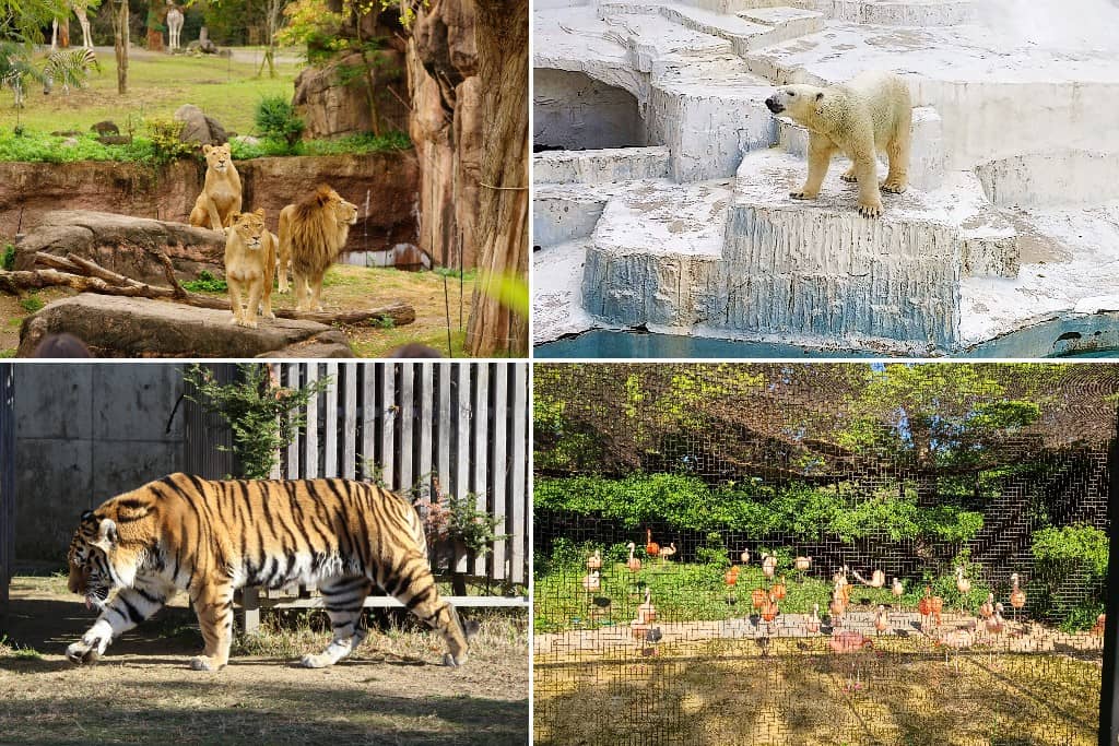 Tennōji Zoo