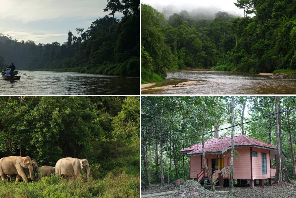 Ulu Muda Eco Park