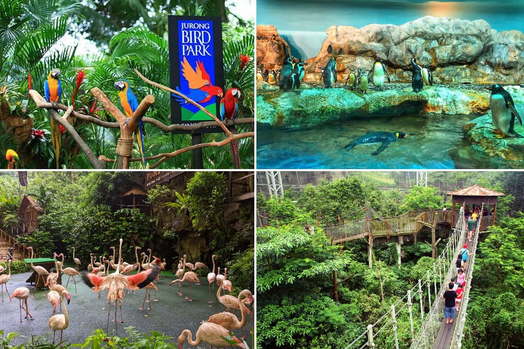 jurong birk park di singapore