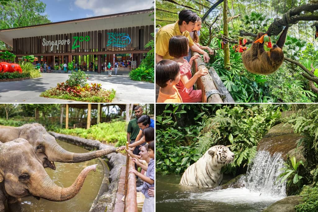 singapore zoo
