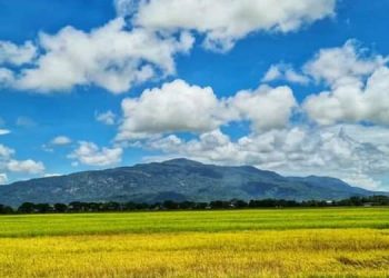 tempat menarik di yan kedah yang terkini